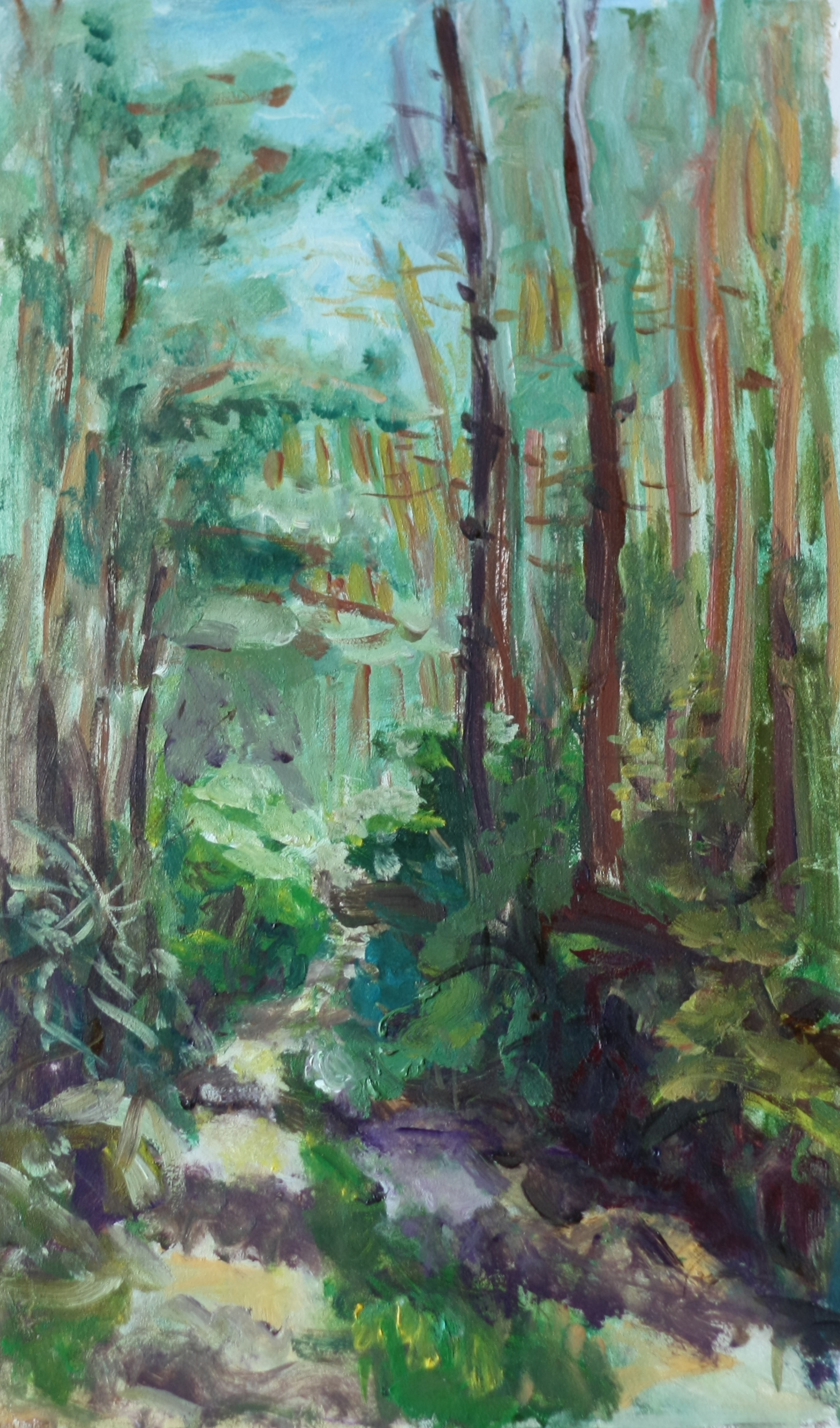 Road in the woods