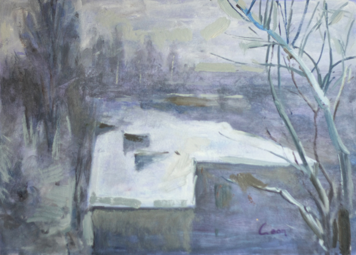 View from the window in winter