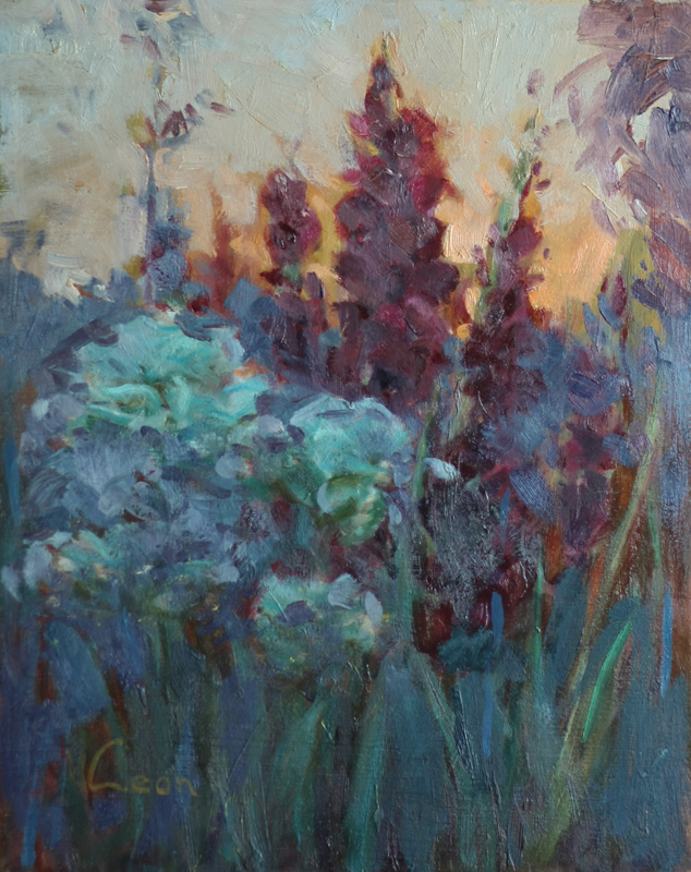 Gladiolus