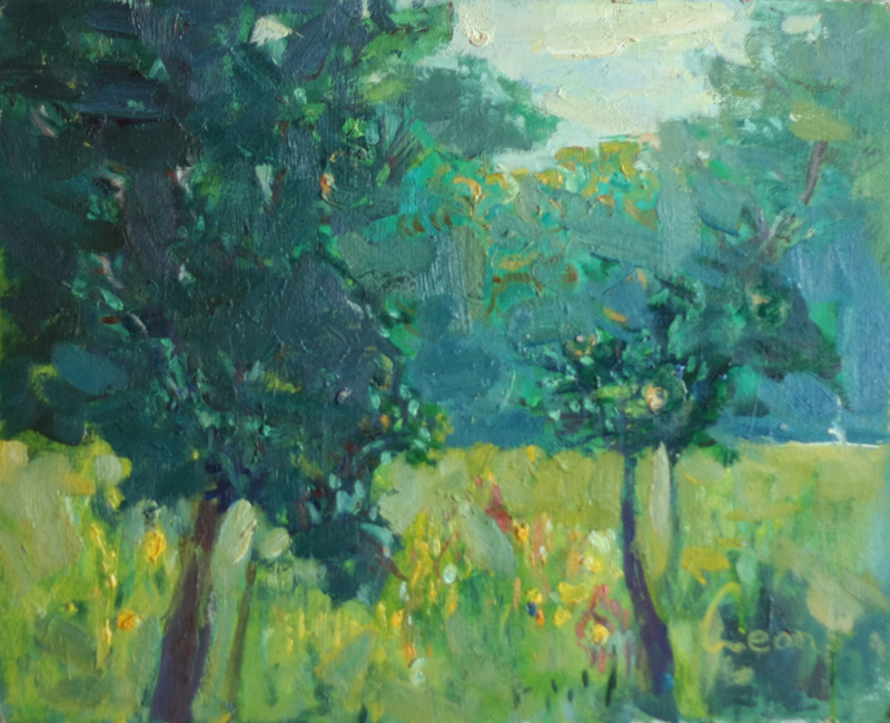 Summer landscape