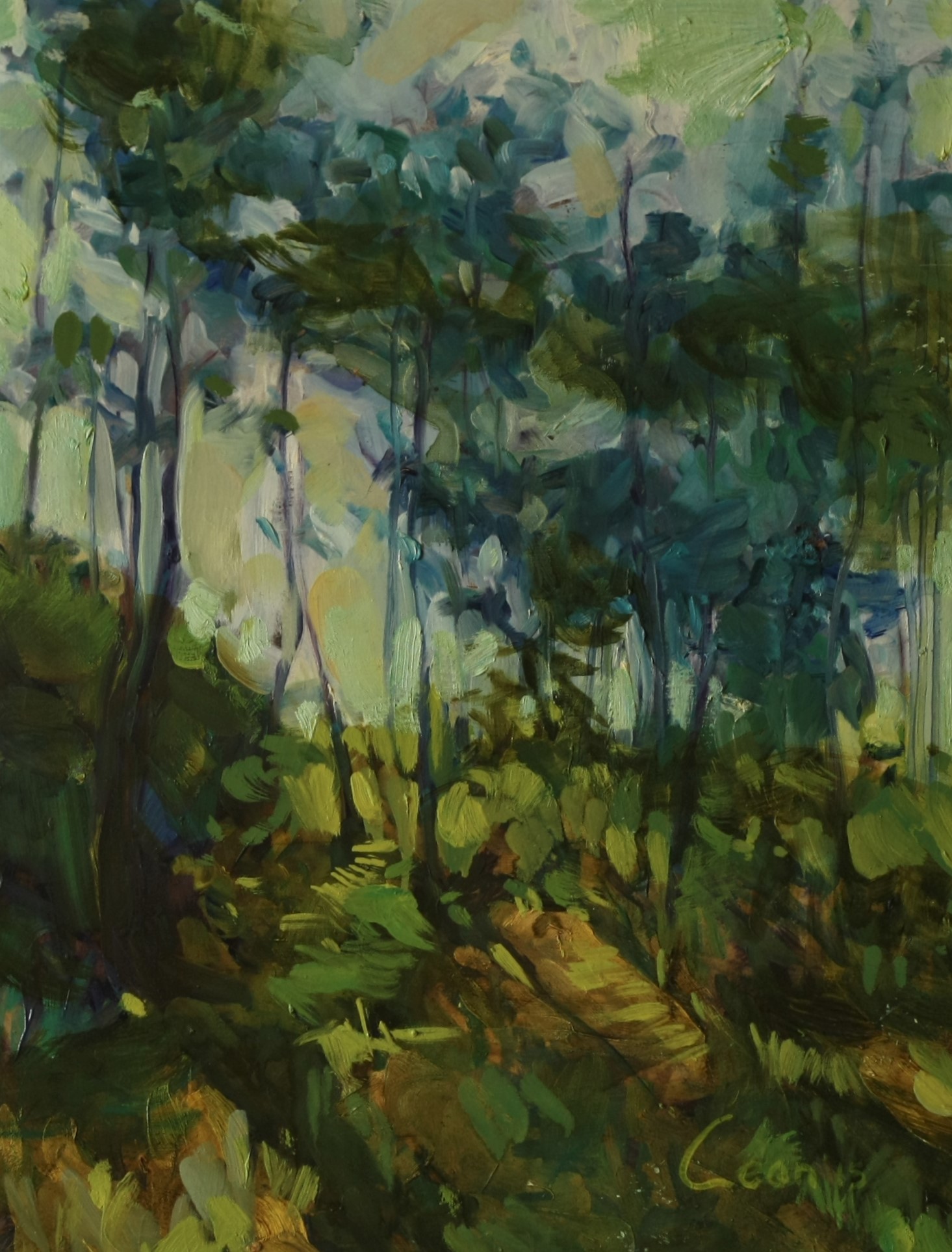 Spring Forest