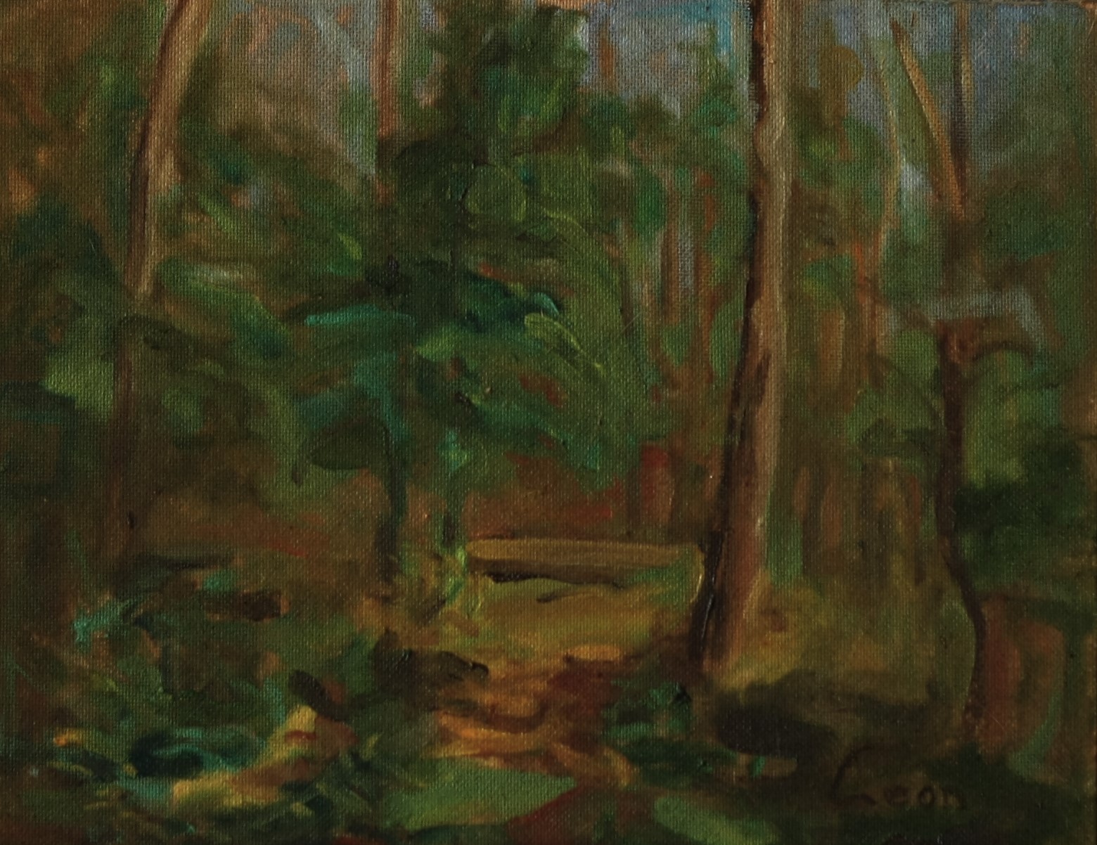 Summer forest